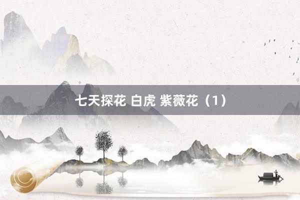 七天探花 白虎 紫薇花（1）