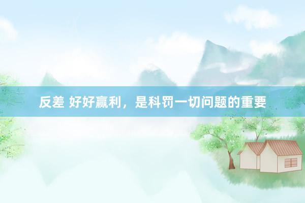 反差 好好赢利，是科罚一切问题的重要