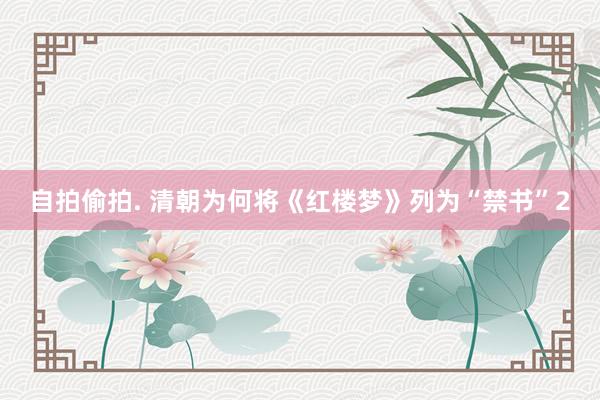 自拍偷拍. 清朝为何将《红楼梦》列为“禁书”2