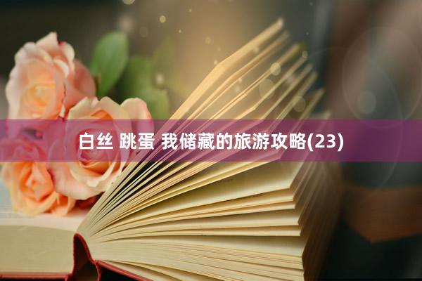 白丝 跳蛋 我储藏的旅游攻略(23)