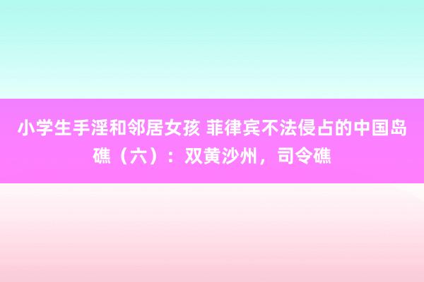 小学生手淫和邻居女孩 菲律宾不法侵占的中国岛礁（六）：双黄沙州，司令礁