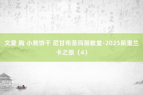 文爱 胸 小熊饼干 尼甘布圣玛丽教堂-2025斯里兰卡之旅（4）
