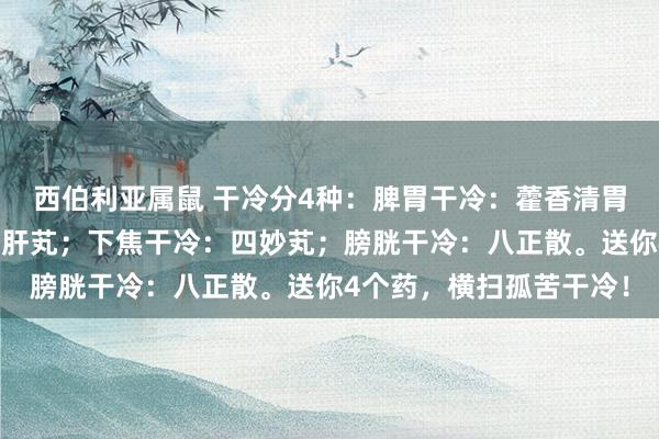 西伯利亚属鼠 干冷分4种：脾胃干冷：藿香清胃芄；肝胆干冷：龙胆泻肝芄；下焦干冷：四妙芄；膀胱干冷：八正散。送你4个药，横扫孤苦干冷！