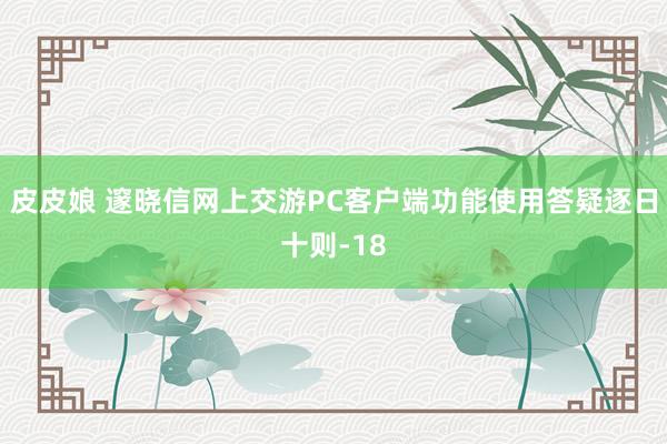 皮皮娘 邃晓信网上交游PC客户端功能使用答疑逐日十则-18