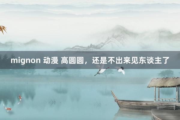 mignon 动漫 高圆圆，还是不出来见东谈主了